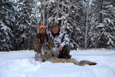 sticky and a wolf 2010
